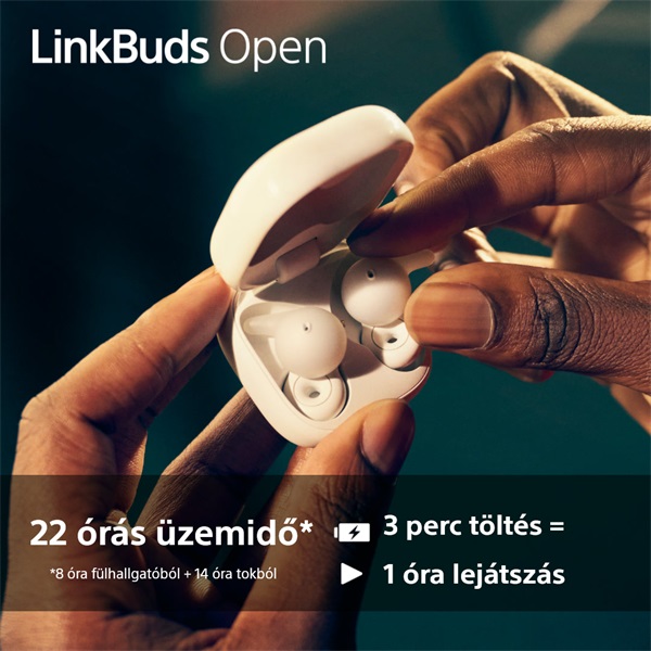 Sony_WF_L910_Linkbuds_Open_True_Wireless_Bluetooth_fekete_fulhallgato-i41129134.jpg